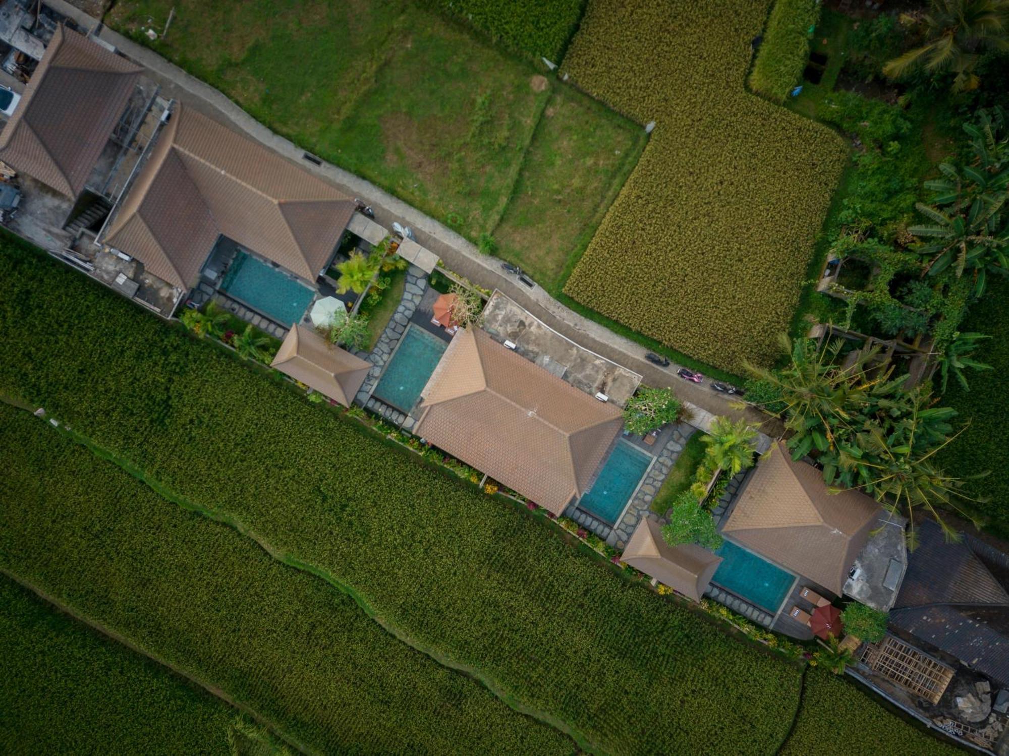 Happy Honeymoon Private Villa Ubud Extérieur photo