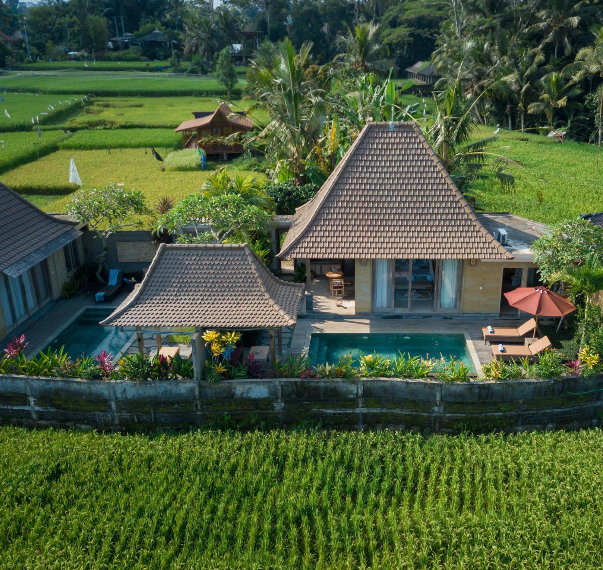 Happy Honeymoon Private Villa Ubud Extérieur photo